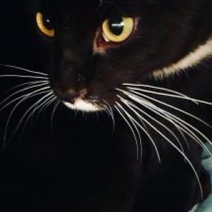 Profile photo of catrona