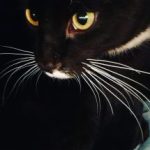 Profile photo of Whiggy